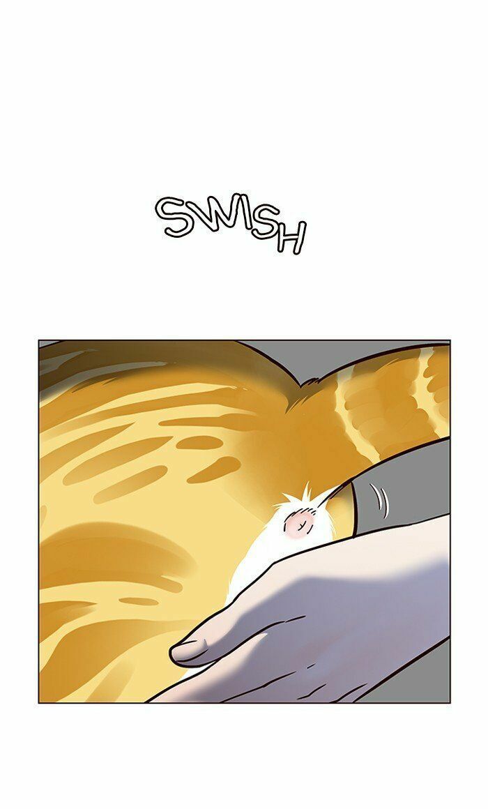 đọc truyện Hóa Thân Thành Mèo Chương 80 ảnh 85 tại Thiên Thai Truyện