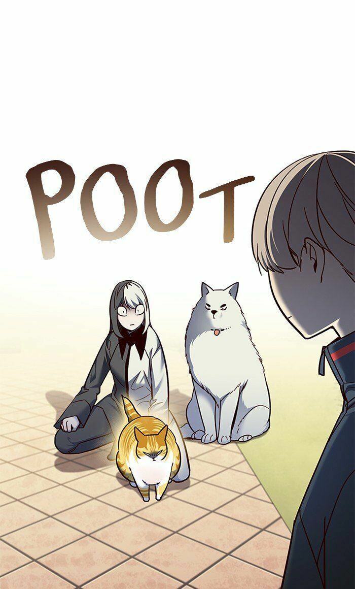 đọc truyện Hóa Thân Thành Mèo Chương 80 ảnh 87 tại Thiên Thai Truyện