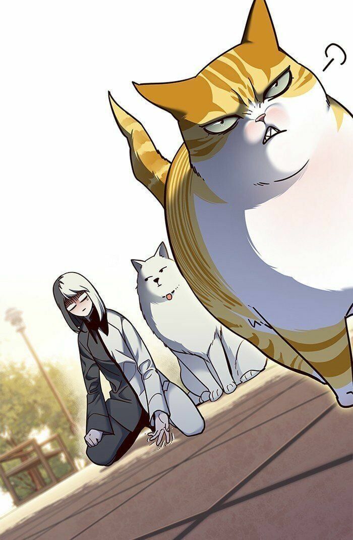 đọc truyện Hóa Thân Thành Mèo Chương 81 ảnh 5 tại Thiên Thai Truyện