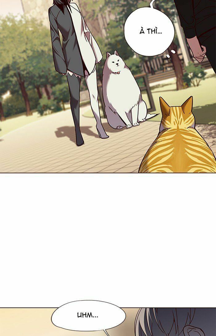 đọc truyện Hóa Thân Thành Mèo Chương 81 ảnh 34 tại Thiên Thai Truyện