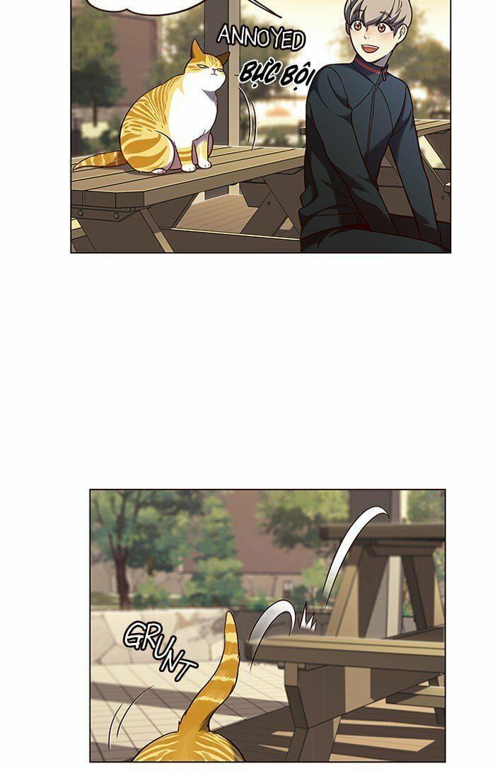 đọc truyện Hóa Thân Thành Mèo Chương 81 ảnh 48 tại Thiên Thai Truyện