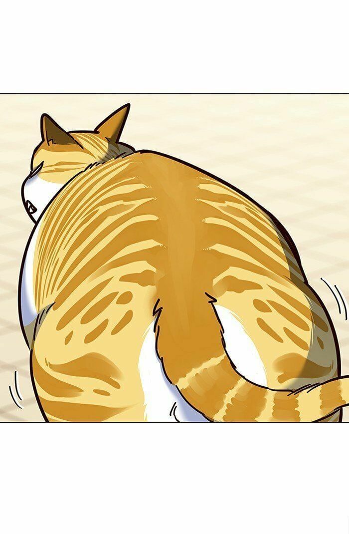 đọc truyện Hóa Thân Thành Mèo Chương 81 ảnh 10 tại Thiên Thai Truyện