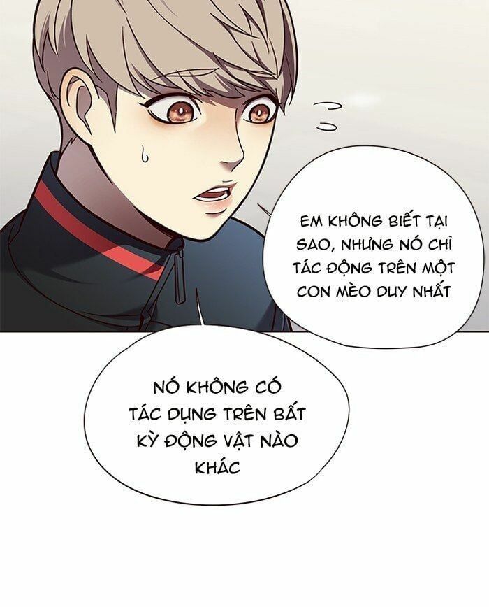 đọc truyện Hóa Thân Thành Mèo Chương 81 ảnh 86 tại Thiên Thai Truyện