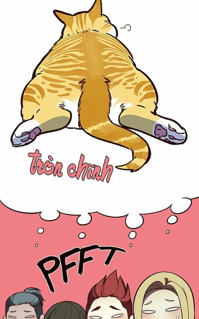 đọc truyện Hóa Thân Thành Mèo Chương 81 ảnh 94 tại Thiên Thai Truyện