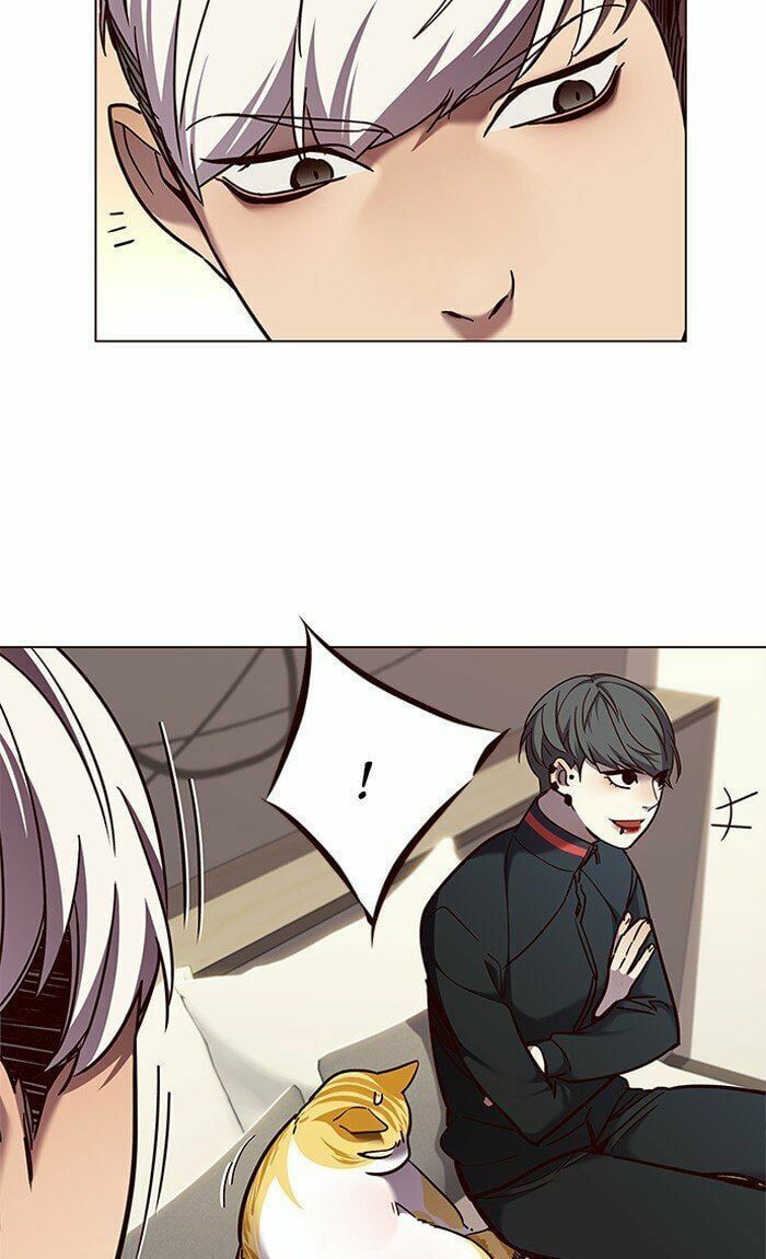 đọc truyện Hóa Thân Thành Mèo Chương 82 ảnh 41 tại Thiên Thai Truyện