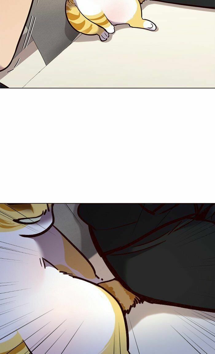 đọc truyện Hóa Thân Thành Mèo Chương 82 ảnh 42 tại Thiên Thai Truyện