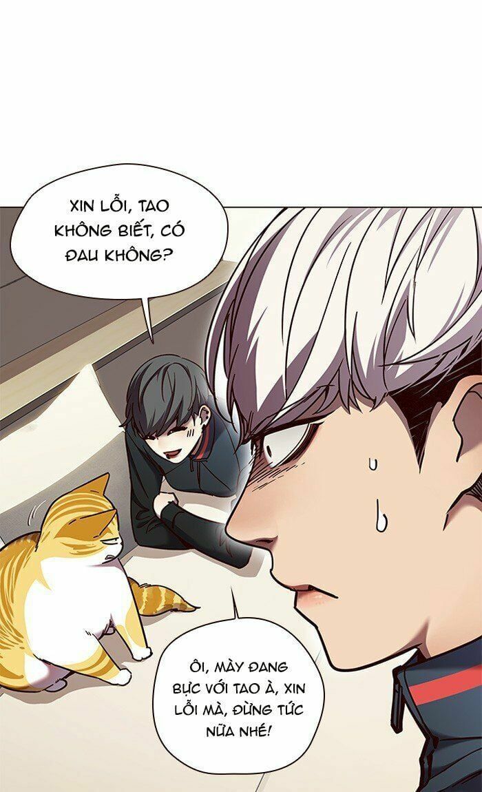 đọc truyện Hóa Thân Thành Mèo Chương 82 ảnh 53 tại Thiên Thai Truyện