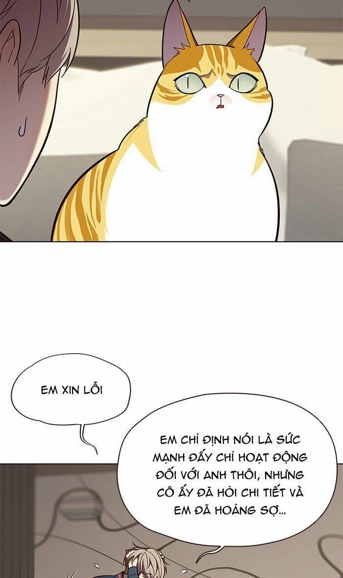 đọc truyện Hóa Thân Thành Mèo Chương 82 ảnh 8 tại Thiên Thai Truyện