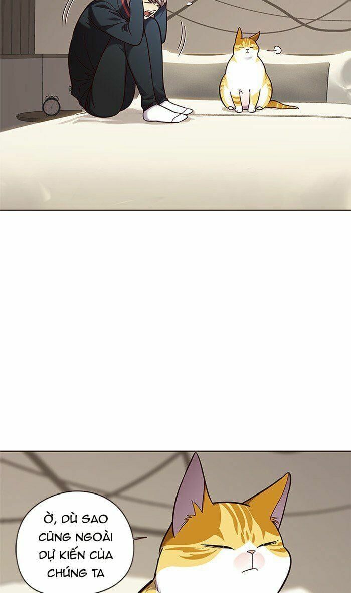 đọc truyện Hóa Thân Thành Mèo Chương 82 ảnh 9 tại Thiên Thai Truyện