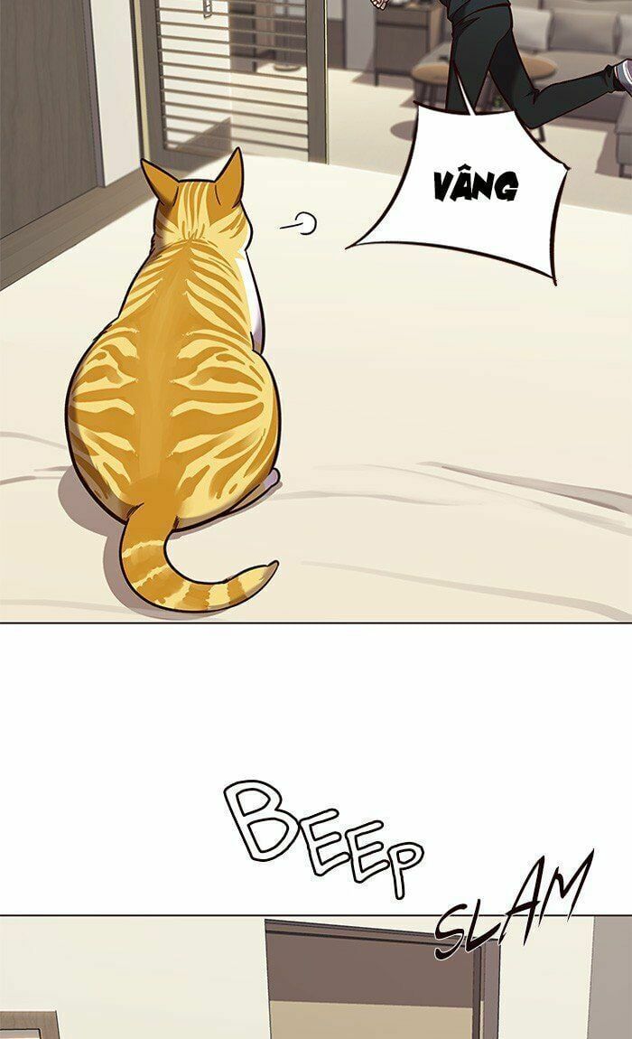 đọc truyện Hóa Thân Thành Mèo Chương 82 ảnh 75 tại Thiên Thai Truyện