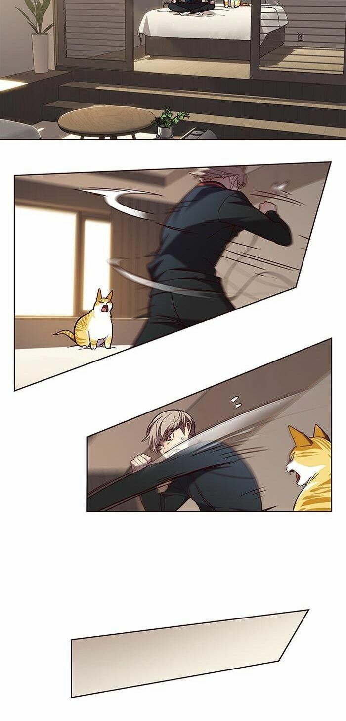 đọc truyện Hóa Thân Thành Mèo Chương 83 ảnh 32 tại Thiên Thai Truyện