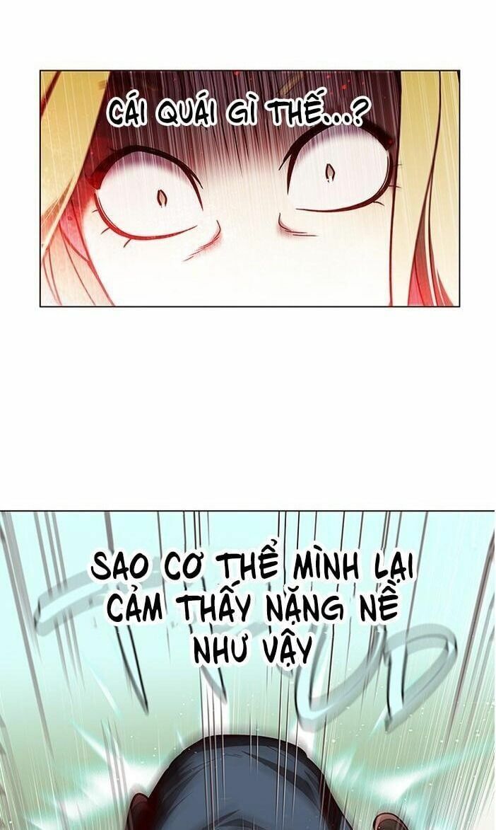 đọc truyện Hóa Thân Thành Mèo Chương 84 ảnh 58 tại Thiên Thai Truyện