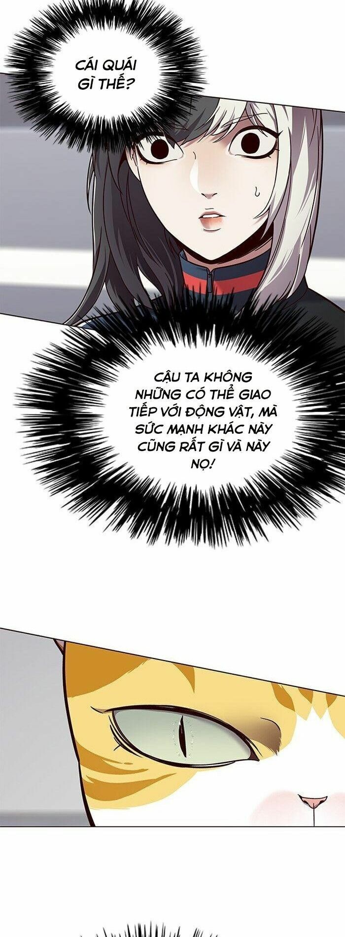 đọc truyện Hóa Thân Thành Mèo Chương 87 ảnh 15 tại Thiên Thai Truyện