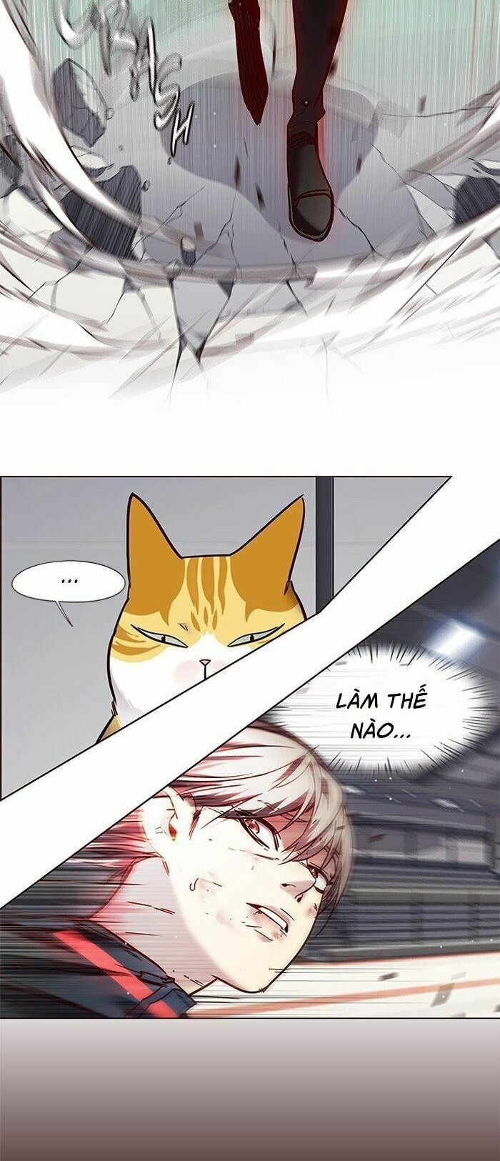 đọc truyện Hóa Thân Thành Mèo Chương 87 ảnh 41 tại Thiên Thai Truyện