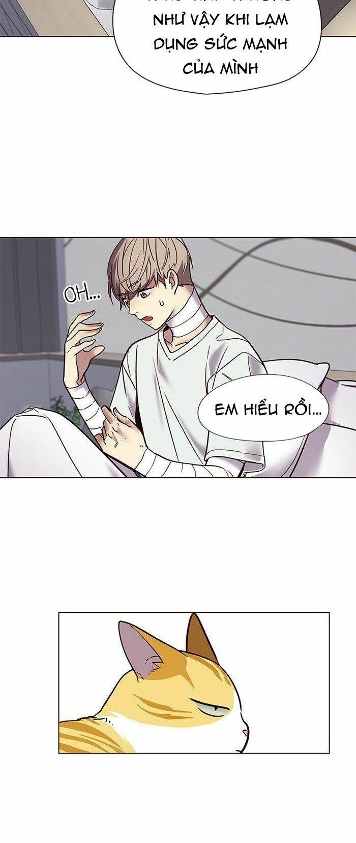 đọc truyện Hóa Thân Thành Mèo Chương 88 ảnh 15 tại Thiên Thai Truyện