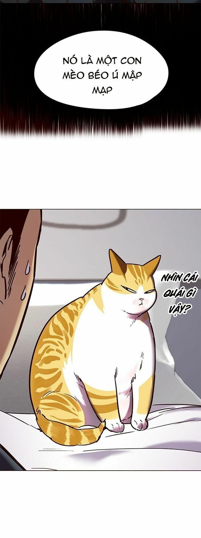 đọc truyện Hóa Thân Thành Mèo Chương 89 ảnh 20 tại Thiên Thai Truyện