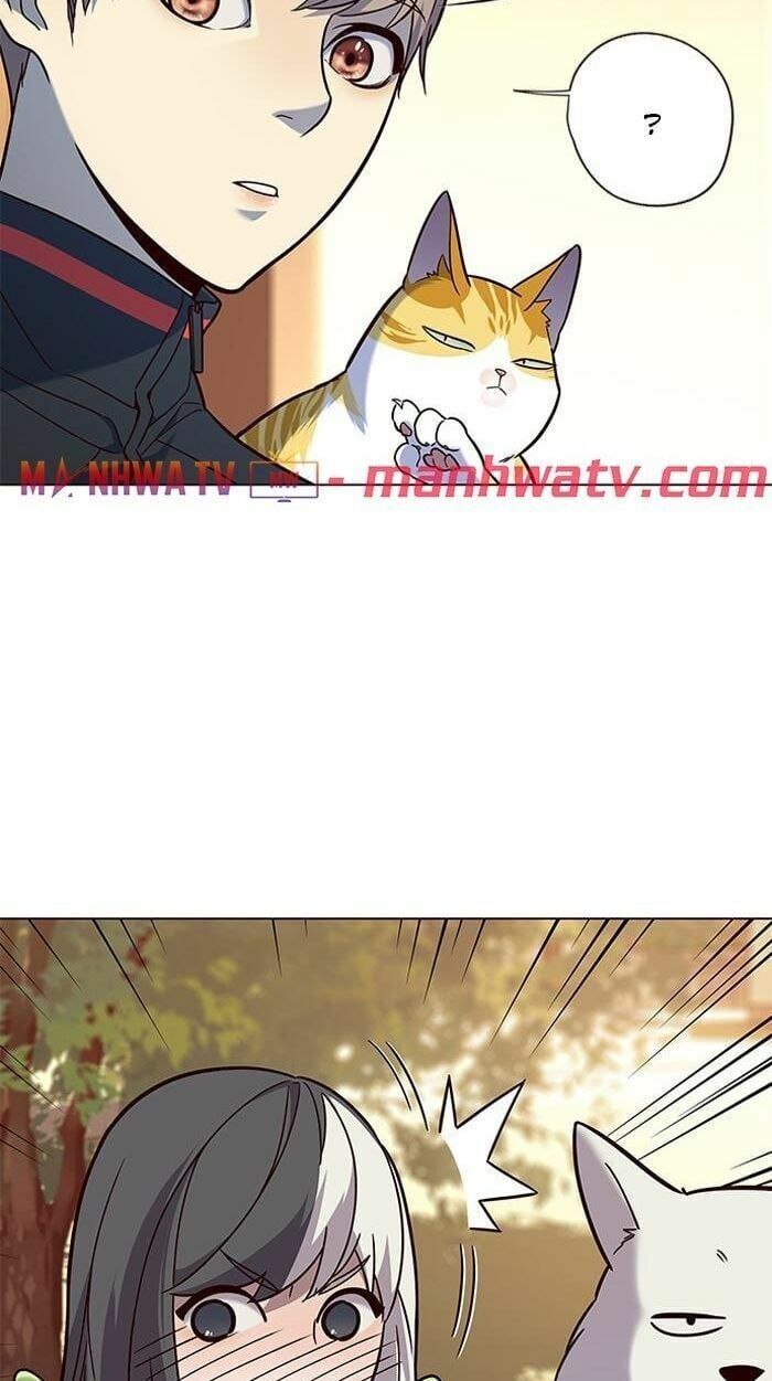 đọc truyện Hóa Thân Thành Mèo Chương 89 ảnh 28 tại Thiên Thai Truyện