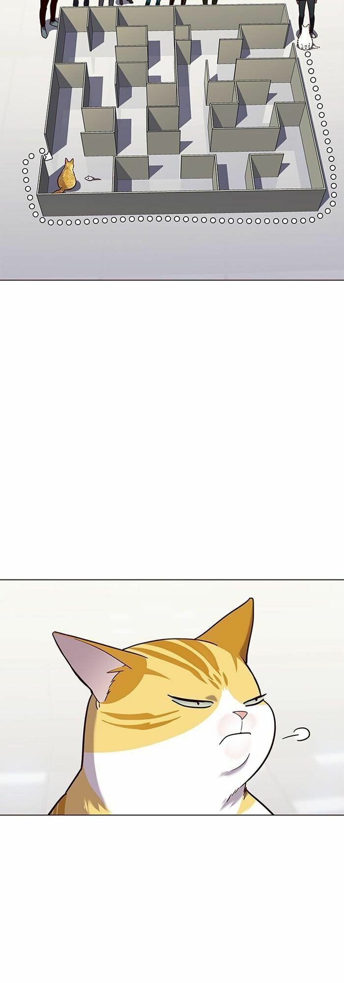 đọc truyện Hóa Thân Thành Mèo Chương 89 ảnh 38 tại Thiên Thai Truyện