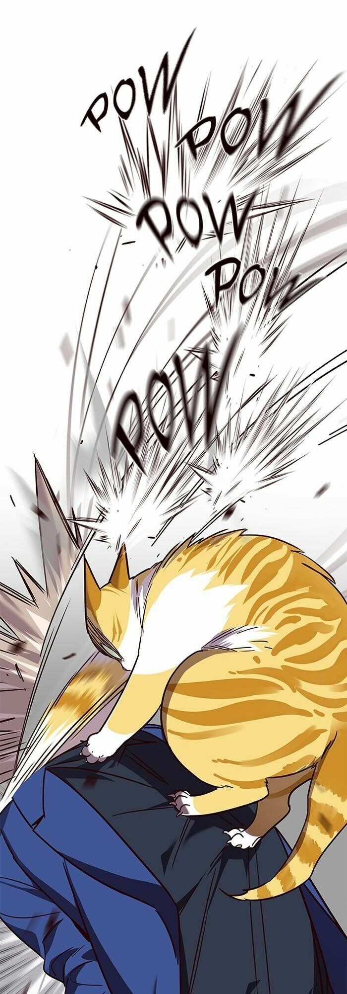 đọc truyện Hóa Thân Thành Mèo Chương 89 ảnh 52 tại Thiên Thai Truyện