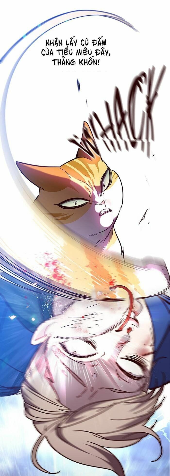 đọc truyện Hóa Thân Thành Mèo Chương 89 ảnh 56 tại Thiên Thai Truyện