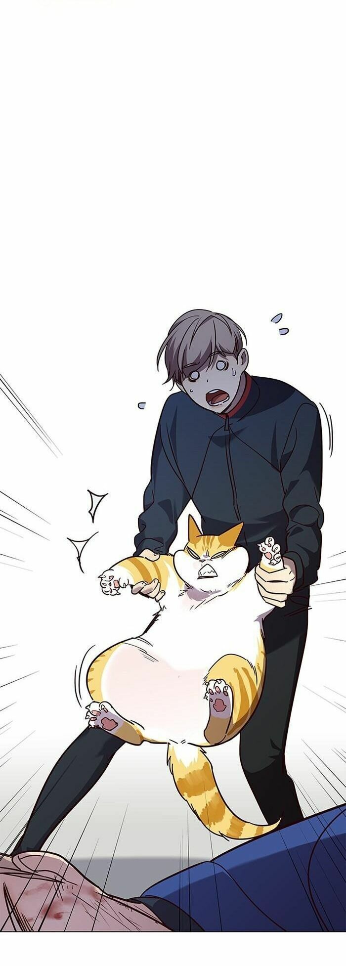 đọc truyện Hóa Thân Thành Mèo Chương 89 ảnh 59 tại Thiên Thai Truyện