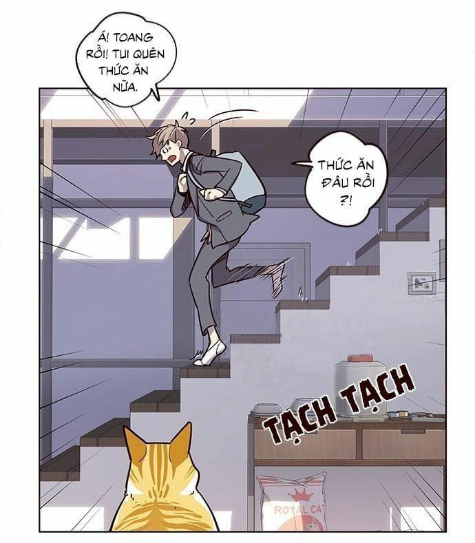 đọc truyện Hóa Thân Thành Mèo Chương 9 ảnh 15 tại Thiên Thai Truyện