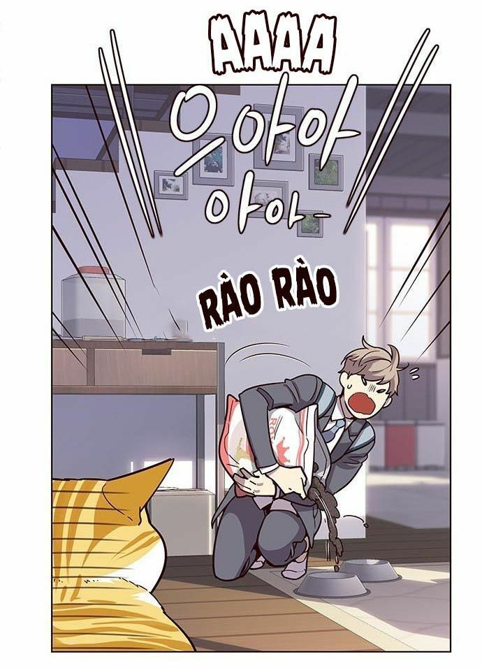 đọc truyện Hóa Thân Thành Mèo Chương 9 ảnh 16 tại Thiên Thai Truyện