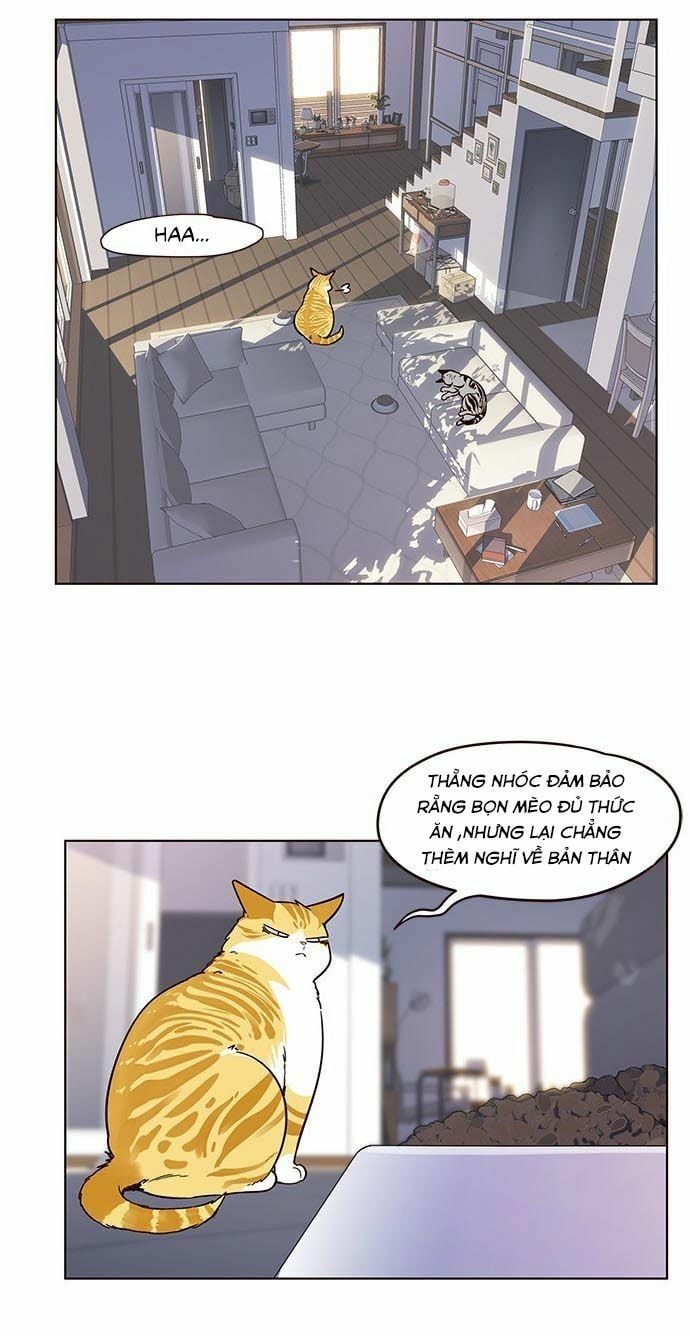 đọc truyện Hóa Thân Thành Mèo Chương 9 ảnh 28 tại Thiên Thai Truyện