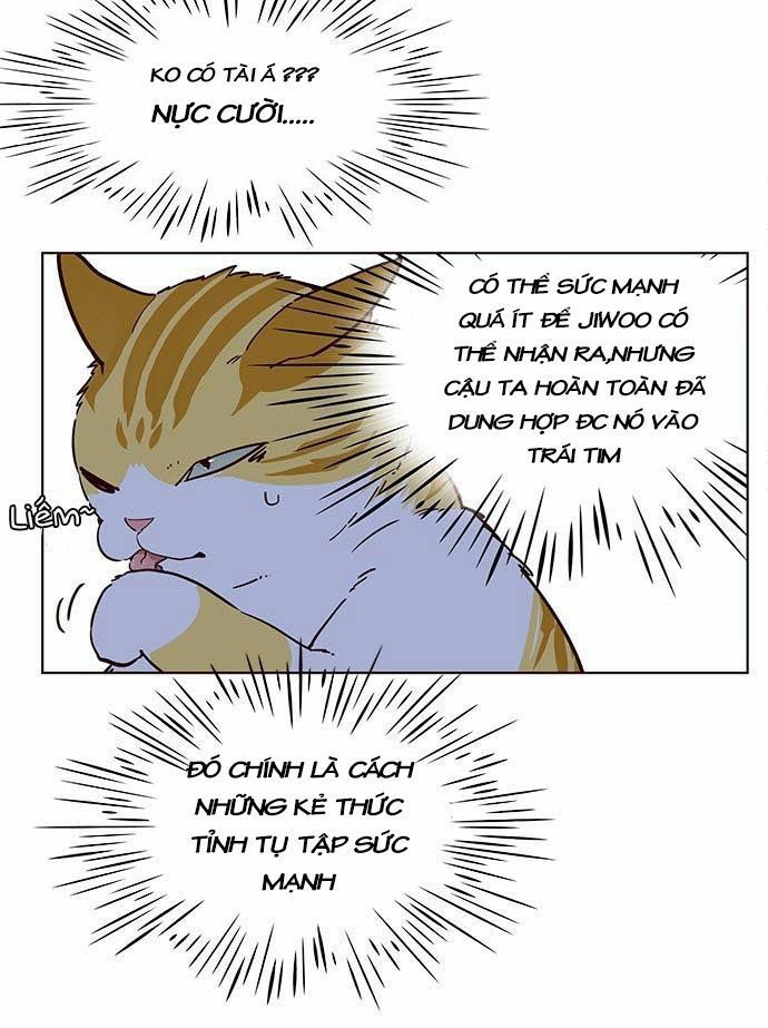 đọc truyện Hóa Thân Thành Mèo Chương 9 ảnh 29 tại Thiên Thai Truyện