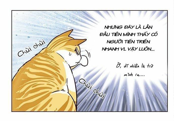 đọc truyện Hóa Thân Thành Mèo Chương 9 ảnh 30 tại Thiên Thai Truyện