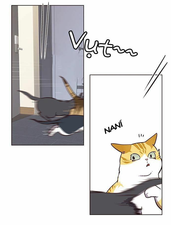 đọc truyện Hóa Thân Thành Mèo Chương 9 ảnh 35 tại Thiên Thai Truyện