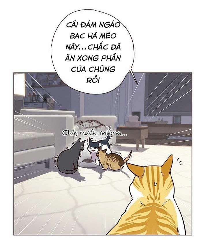 đọc truyện Hóa Thân Thành Mèo Chương 9 ảnh 36 tại Thiên Thai Truyện