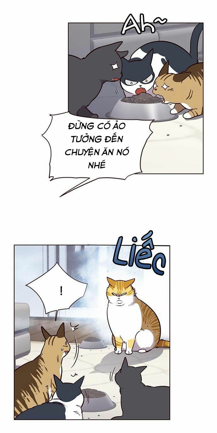 đọc truyện Hóa Thân Thành Mèo Chương 9 ảnh 37 tại Thiên Thai Truyện