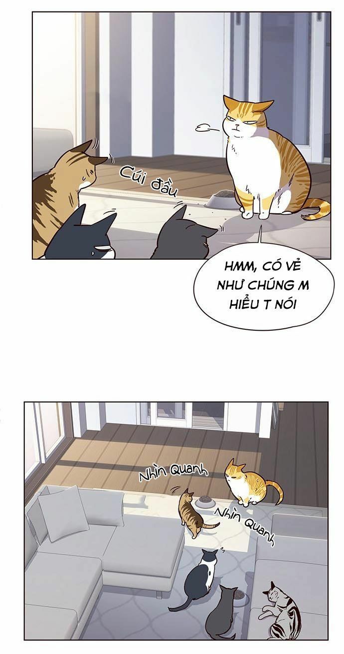 đọc truyện Hóa Thân Thành Mèo Chương 9 ảnh 38 tại Thiên Thai Truyện