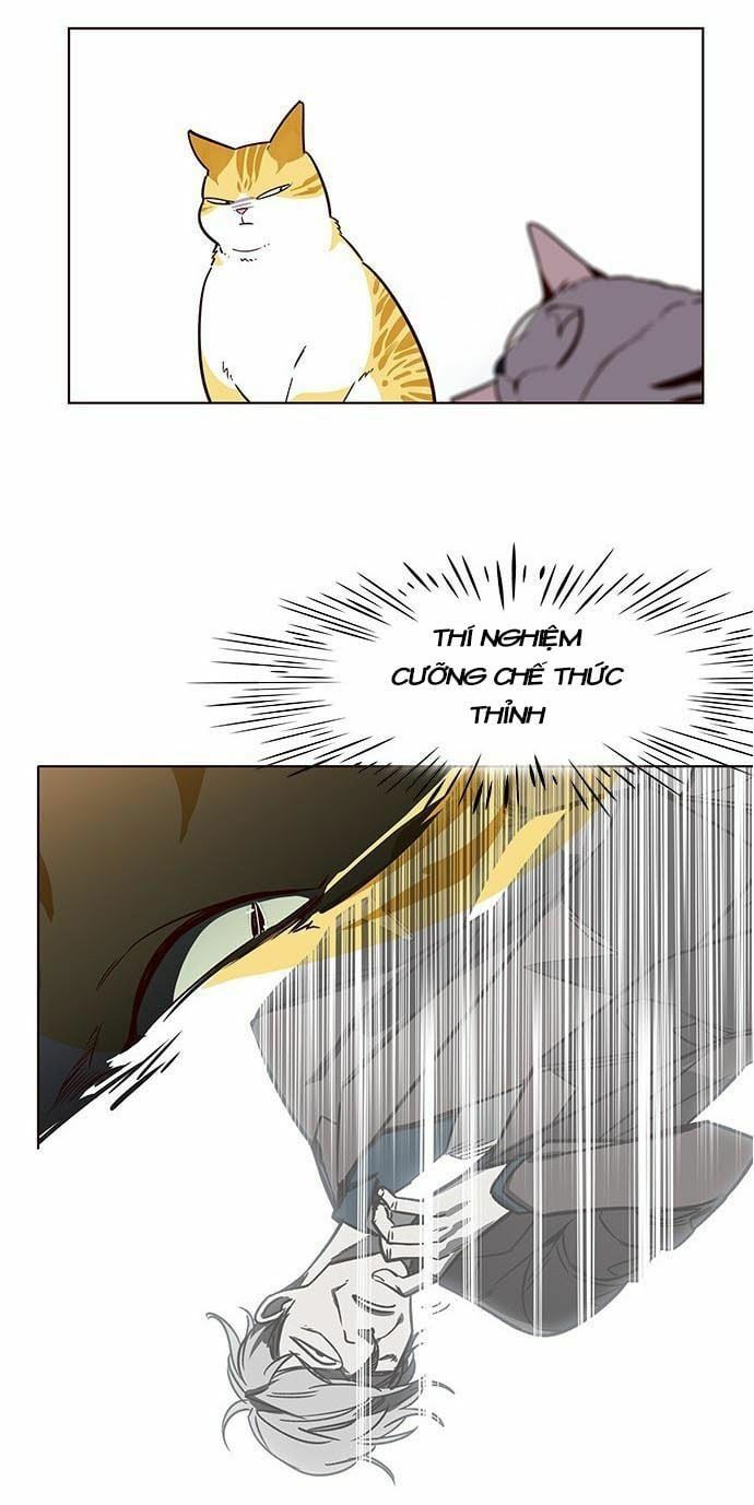 đọc truyện Hóa Thân Thành Mèo Chương 9 ảnh 39 tại Thiên Thai Truyện