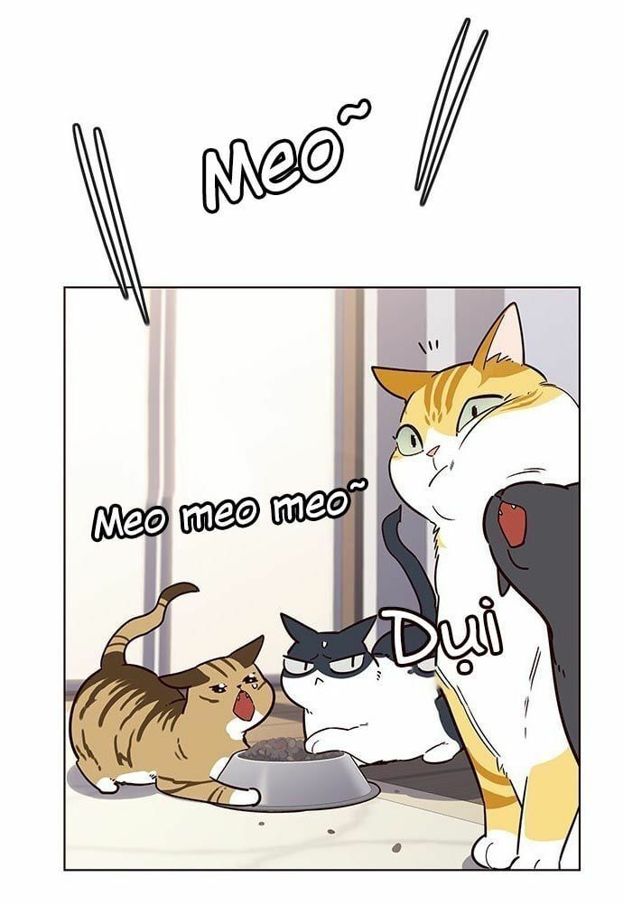 đọc truyện Hóa Thân Thành Mèo Chương 9 ảnh 40 tại Thiên Thai Truyện