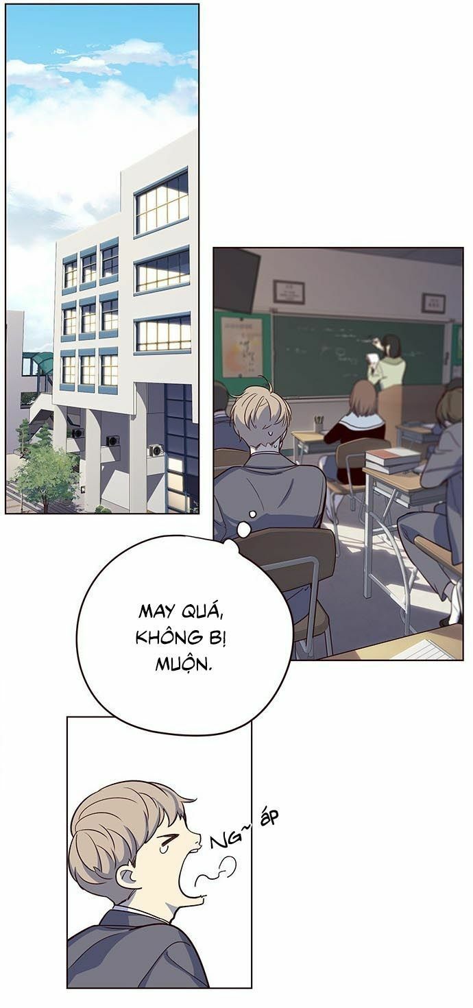 đọc truyện Hóa Thân Thành Mèo Chương 9 ảnh 41 tại Thiên Thai Truyện