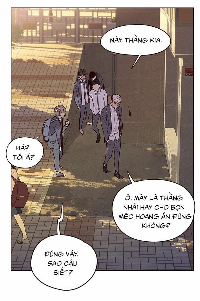 đọc truyện Hóa Thân Thành Mèo Chương 9 ảnh 57 tại Thiên Thai Truyện