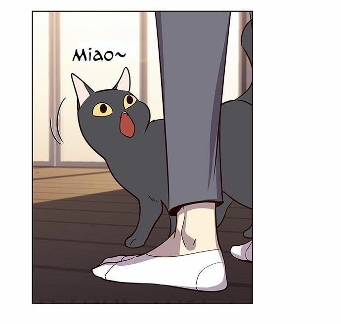 đọc truyện Hóa Thân Thành Mèo Chương 9 ảnh 76 tại Thiên Thai Truyện