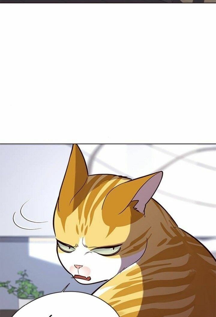 đọc truyện Hóa Thân Thành Mèo Chương 90 ảnh 6 tại Thiên Thai Truyện