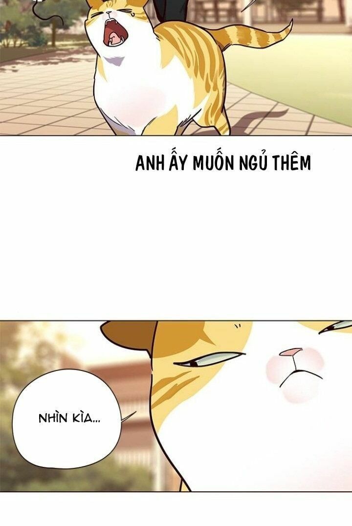 đọc truyện Hóa Thân Thành Mèo Chương 90 ảnh 42 tại Thiên Thai Truyện