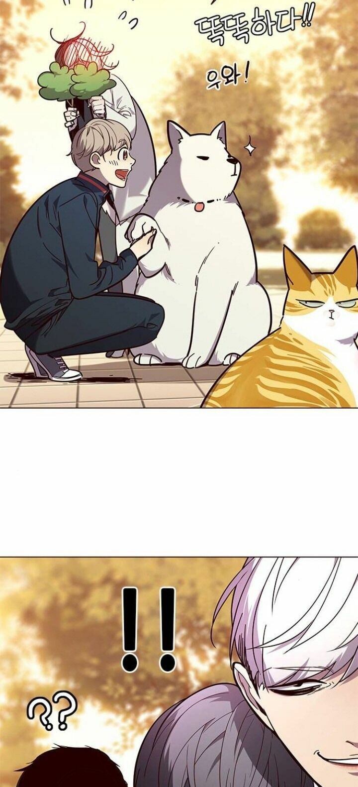 đọc truyện Hóa Thân Thành Mèo Chương 90 ảnh 58 tại Thiên Thai Truyện