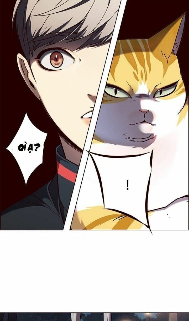 đọc truyện Hóa Thân Thành Mèo Chương 91 ảnh 38 tại Thiên Thai Truyện