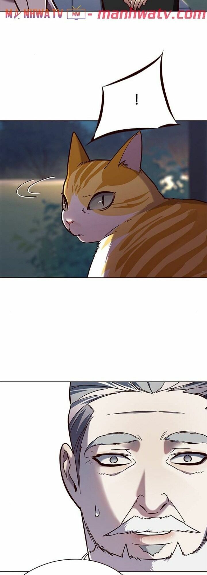 đọc truyện Hóa Thân Thành Mèo Chương 91 ảnh 54 tại Thiên Thai Truyện