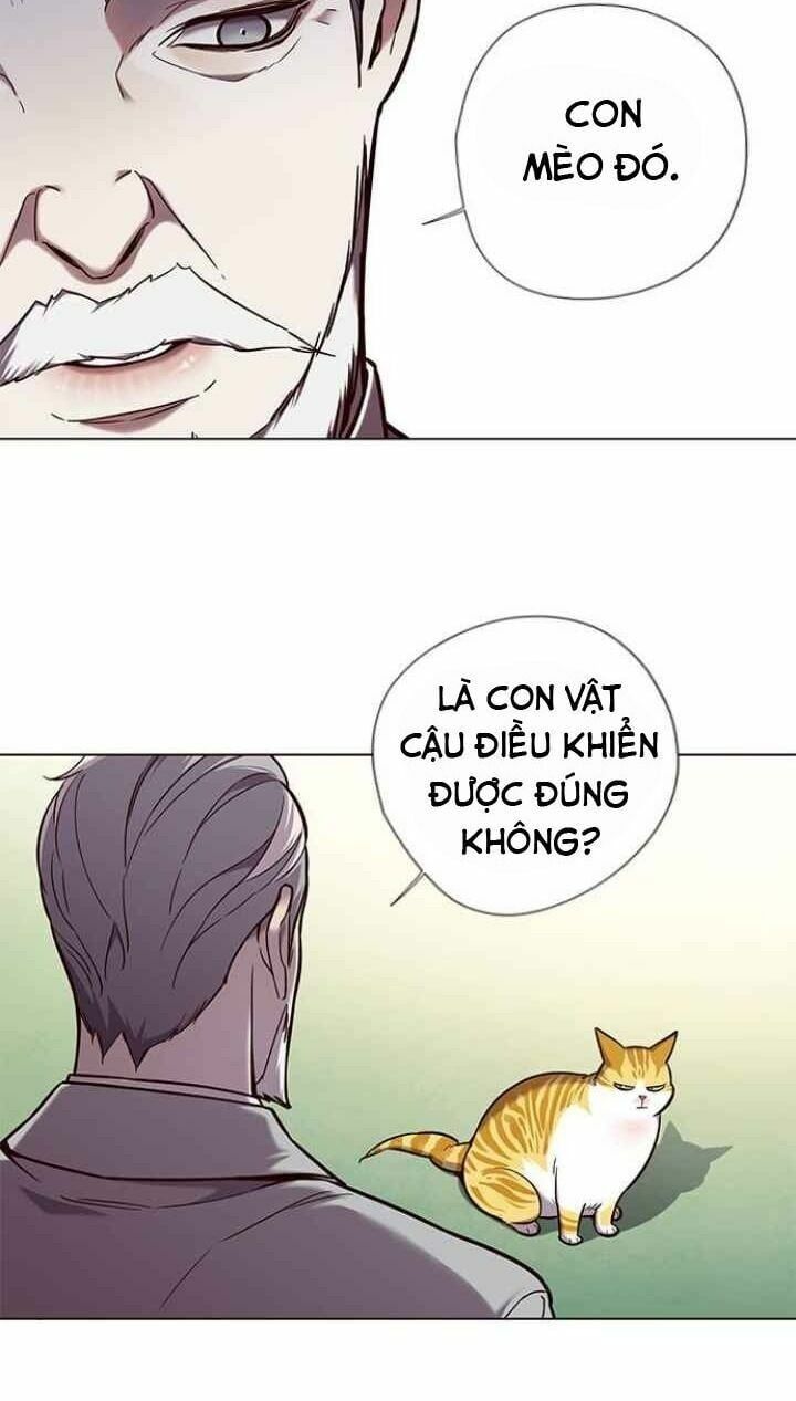 đọc truyện Hóa Thân Thành Mèo Chương 92 ảnh 27 tại Thiên Thai Truyện