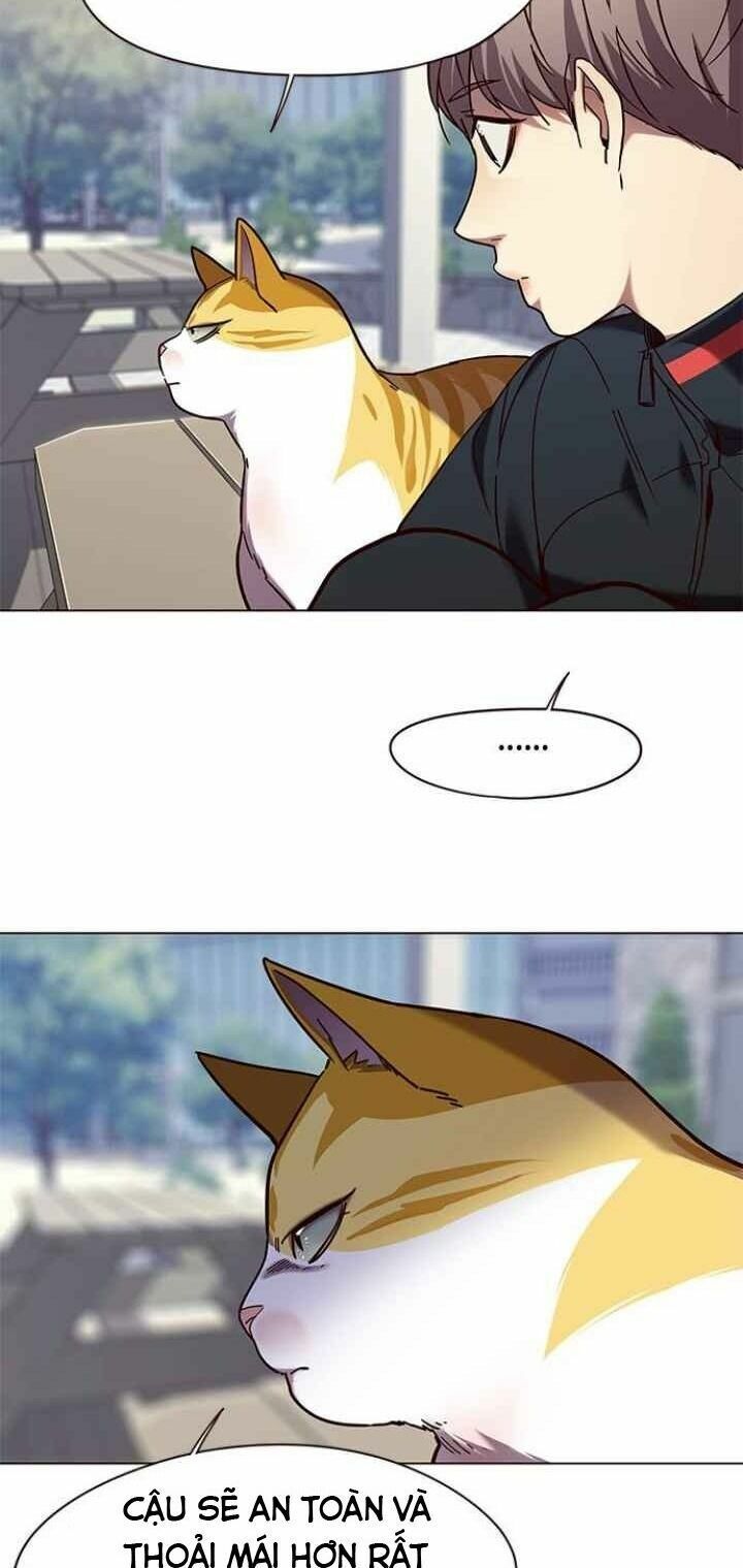 đọc truyện Hóa Thân Thành Mèo Chương 92 ảnh 39 tại Thiên Thai Truyện