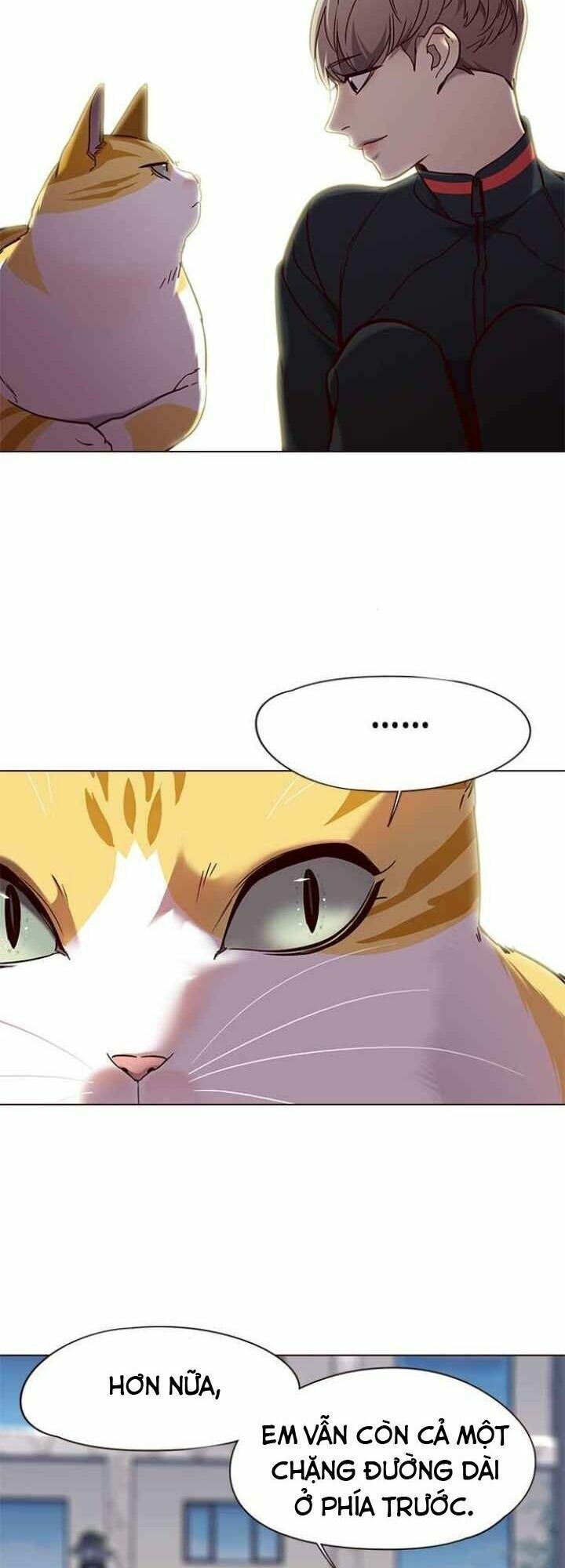 đọc truyện Hóa Thân Thành Mèo Chương 92 ảnh 41 tại Thiên Thai Truyện