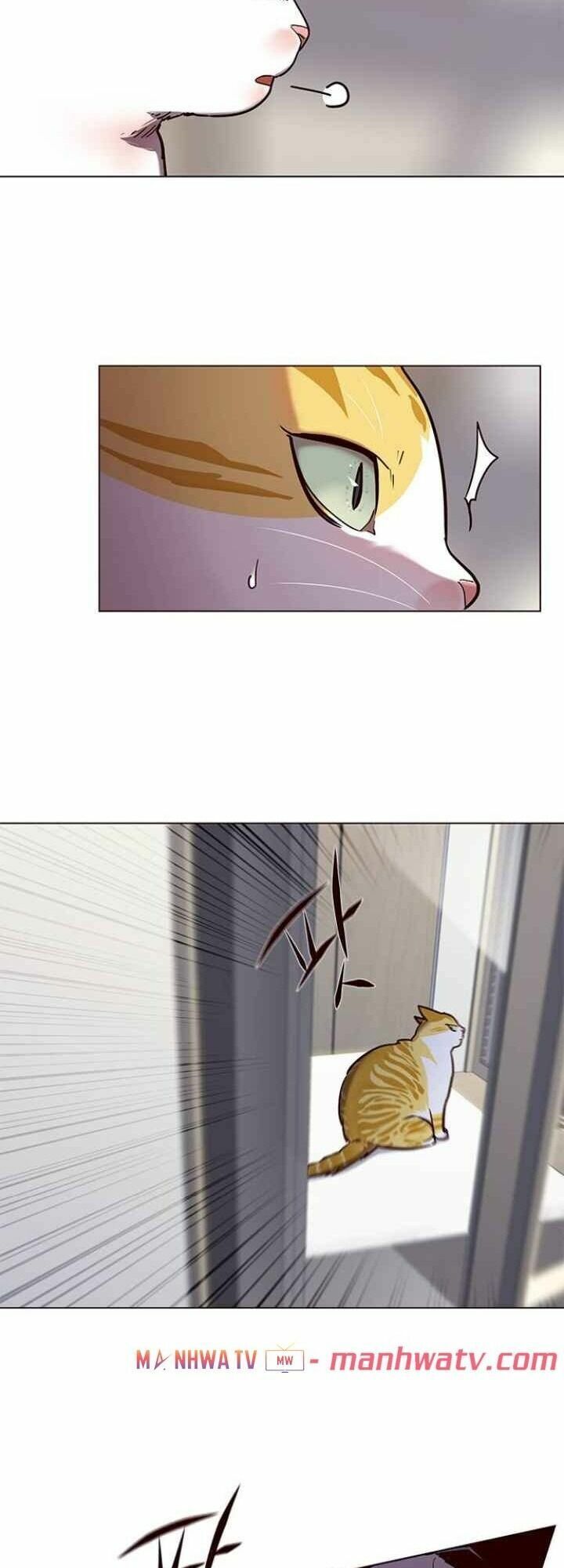 đọc truyện Hóa Thân Thành Mèo Chương 92 ảnh 61 tại Thiên Thai Truyện