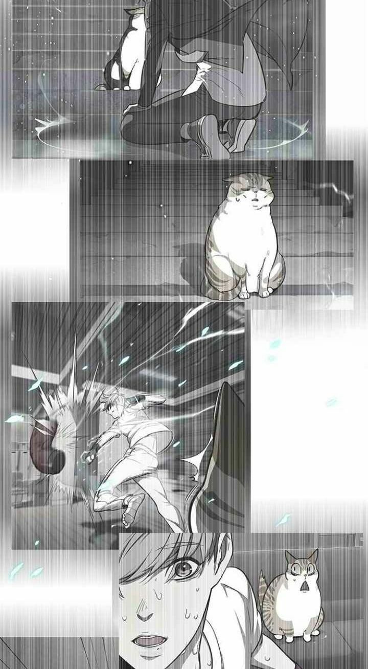 đọc truyện Hóa Thân Thành Mèo Chương 93 ảnh 38 tại Thiên Thai Truyện