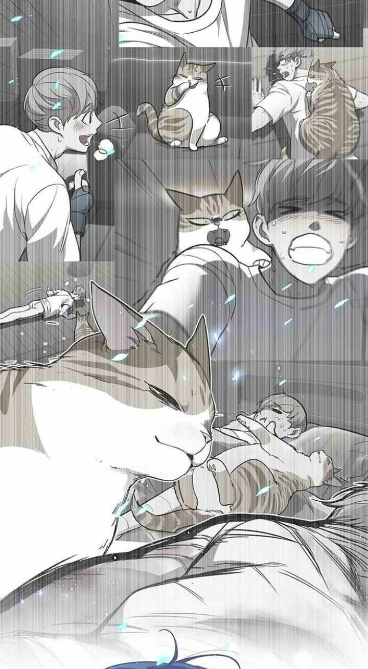 đọc truyện Hóa Thân Thành Mèo Chương 93 ảnh 39 tại Thiên Thai Truyện